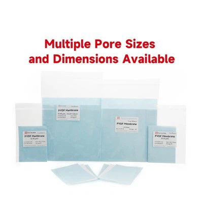 0.2 μm PVDF membrana