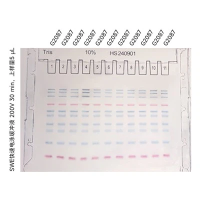 10% Tris SwePAGE Pre-Cast Gel (11-bunar)