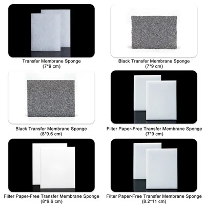 Spužva za prijenosnu membranu